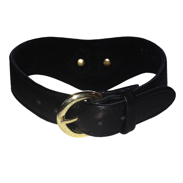Leather V Collar- past collection Large