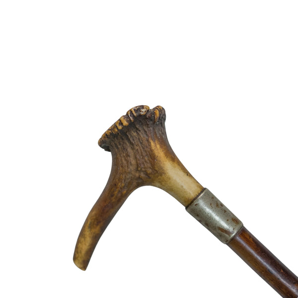 Blackthorn Lunge Whip